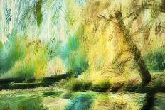 Forest And Creek 2-Janet Slater-Photographic Print