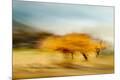 Photographic Print