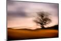 Photographic Print