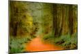 Photographic Print