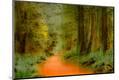 Photographic Print
