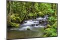 Premium Photographic Print