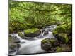 Photographic Print