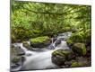 Premium Photographic Print