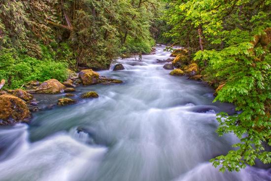 Premium Photographic Print, , large
