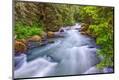 Premium Photographic Print