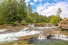 Forest And Creek 2-Janet Slater-Photographic Print