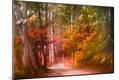 Photographic Print