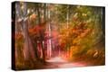 Stretched Canvas Print