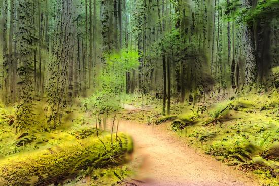 Photographic Print, , large