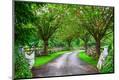 Photographic Print