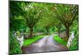 Photographic Print