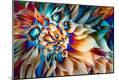 Photographic Print