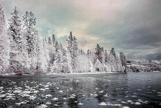 Forest And Creek 2-Janet Slater-Photographic Print