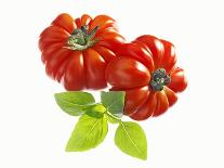 Two Beefsteak Tomatoes with Basil Leaves-Janez Puksic-Framed Photographic Print