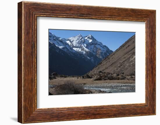 Jangothang valley, Thimpu District, Bhutan, Himalayas, Asia-Alex Treadway-Framed Photographic Print