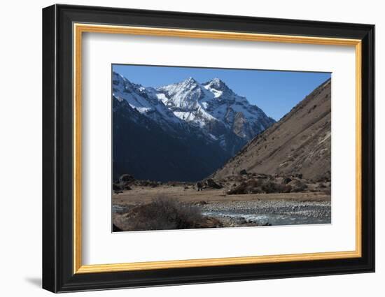 Jangothang valley, Thimpu District, Bhutan, Himalayas, Asia-Alex Treadway-Framed Photographic Print