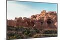 Photographic Print