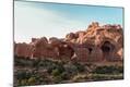 Photographic Print