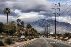 Palm Spring-Janice Sullivan-Framed Premier Image Canvas