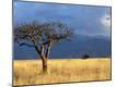 Premium Photographic Print
