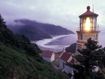 Foggy Day at the Heceta Head Lighthouse, Oregon, USA-Janis Miglavs-Photographic Print