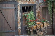 France, Alsace, Colmar. Rustic wooden wagon draped with plants.-Janis Miglavs-Photographic Print