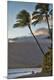 Premium Photographic Print