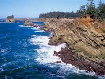 Coastline at Ecola State Park, Oregon Coast, USA-Janis Miglavs-Photographic Print