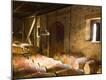 Premium Photographic Print