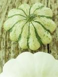 Green and White Striped Patty Pan Squash-Janne Peters-Framed Premier Image Canvas