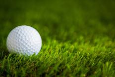 Golf Ball on Green Grass-jannoon028-Photographic Print