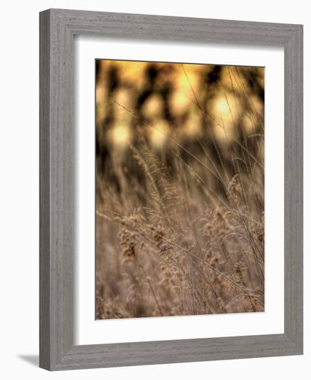 Jante-Jim Crotty-Framed Photographic Print