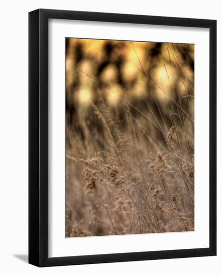 Jante-Jim Crotty-Framed Photographic Print