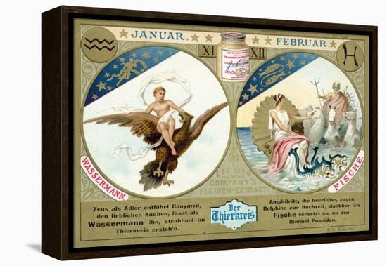 January and February: Aquarius and Pisces-null-Framed Premier Image Canvas