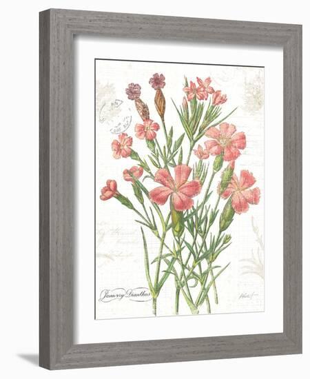 January Dianthus on White-Katie Pertiet-Framed Art Print