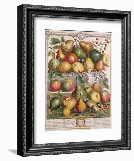 January, from 'Twelve Months of Fruits'-Pieter Casteels-Framed Giclee Print