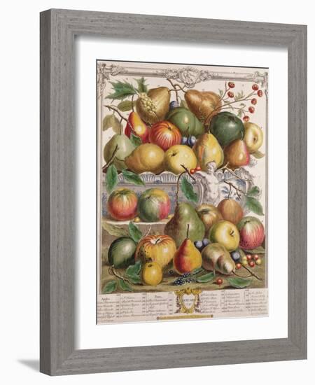 January, from 'Twelve Months of Fruits'-Pieter Casteels-Framed Giclee Print