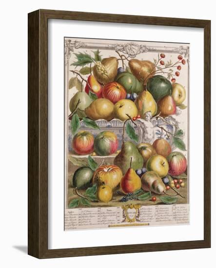 January, from 'Twelve Months of Fruits'-Pieter Casteels-Framed Giclee Print