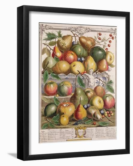 January, from 'Twelve Months of Fruits'-Pieter Casteels-Framed Giclee Print