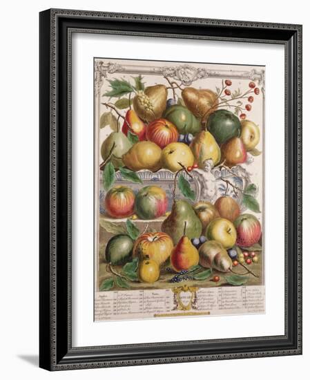 January, from 'Twelve Months of Fruits'-Pieter Casteels-Framed Giclee Print