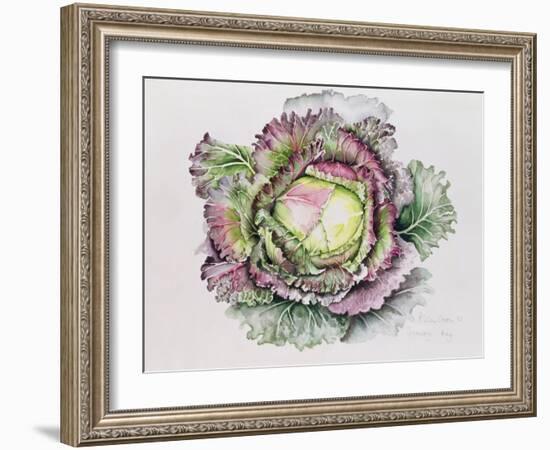 January King Cabbage-Alison Cooper-Framed Giclee Print