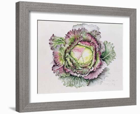 January King Cabbage-Alison Cooper-Framed Giclee Print