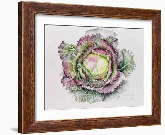 January King Cabbage-Alison Cooper-Framed Giclee Print