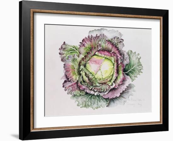 January King Cabbage-Alison Cooper-Framed Giclee Print