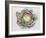 January King Cabbage-Alison Cooper-Framed Giclee Print