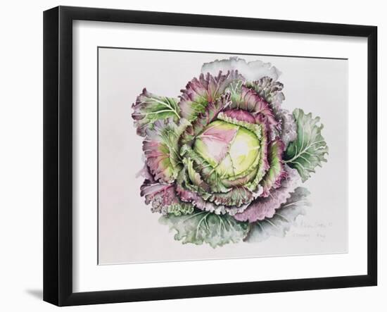 January King Cabbage-Alison Cooper-Framed Giclee Print