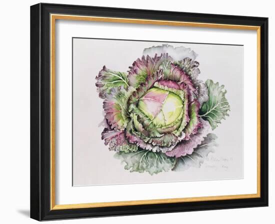 January King Cabbage-Alison Cooper-Framed Giclee Print