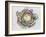 January King Cabbage-Alison Cooper-Framed Giclee Print