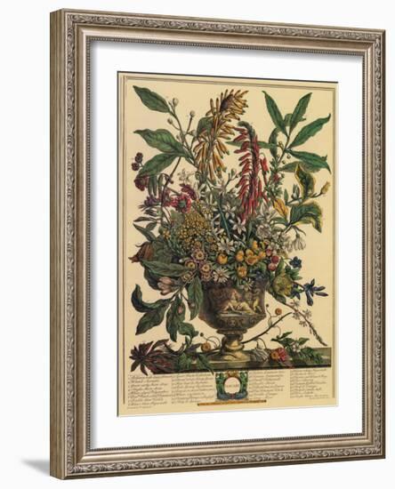 January-Robert Furber-Framed Art Print